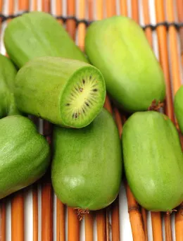 Mini kiwi (aktinidia) Dr Szymanowski | DomiSad.pl