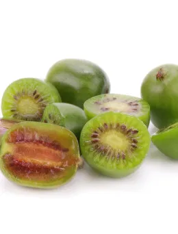 Mini kiwi (aktinidia) Ken's Red żeńska | DomiSad.pl