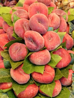 Brzoskwinia Saturn | Sklep ogrodniczy DomiSad.pl